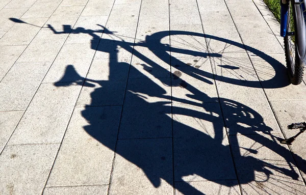 Zwarte schaduw van een fiets met een grote stam op de stoep van een grijze plaat. — Stockfoto