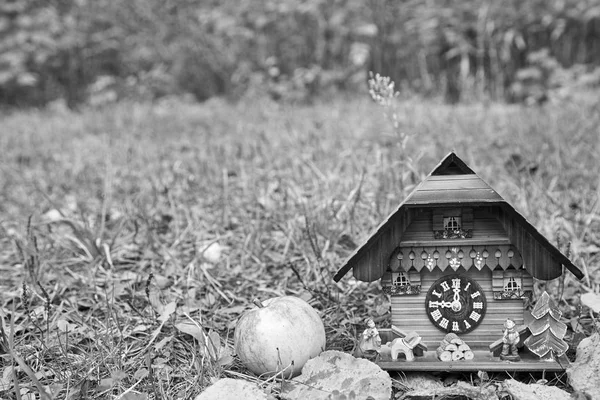 Eine hölzerne Wanduhr in Form eines Hauses, ein Apfel und Herbstblätter stehen perspektivisch auf dem Rasen. Schwarz-Weiß. Gestaltungselement. — Stockfoto