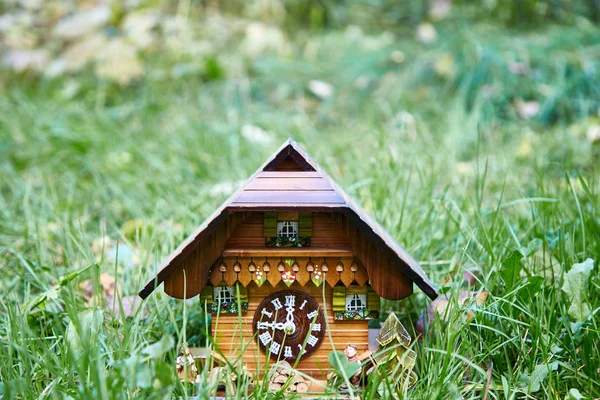 Eine hölzerne Wanduhr in Form eines Hauses steht im hellgrünen Gras. Gestaltungselement. — Stockfoto