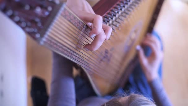 Mãos Uma Mulher Caucasiana Tocando Bandura Tradicional Instrumentos Folclóricos Ucranianos — Vídeo de Stock