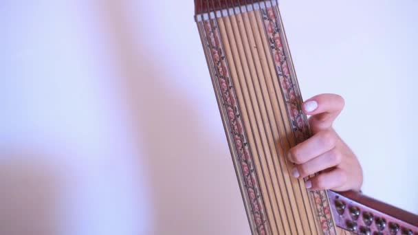 Mão Esquerda Uma Mulher Caucasiana Tocando Baixos Tradicional Instrumento Cordas — Vídeo de Stock