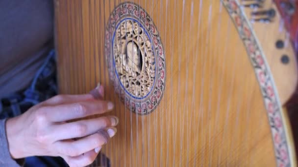 伝統的なウクライナの民族楽器バンデューラを演奏する白人女性の手 選択的フォーカス — ストック動画