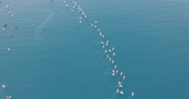 Kleine Trainingssegelyachten mit Athleten bei der Regatta. Ausbildungssegelyachten schwimmen auf dem Meer. Yacht- und Segeltraining. — Stockvideo