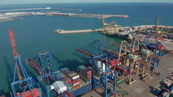 Flygfoto. Internationell hamn med krancontainrar i importlogistik. — Stockvideo