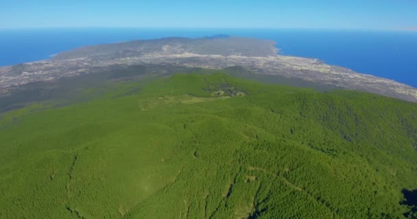 Légi kilátás sűrű fenyőerdő Tenerife egy pillantást a távoli tengerparti város. — Stock videók