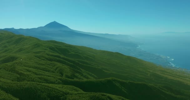 Vista aerea. Dense pineta su Tenerife sullo sfondo del vulcano Teide. — Video Stock