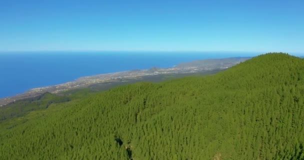 Vista aérea densa floresta de pinheiros em Tenerife com um vislumbre da distante cidade costeira. — Vídeo de Stock