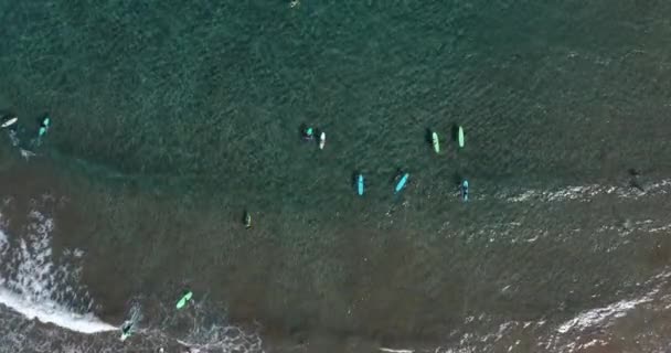 Vista aérea. Vuelo sobre surfistas en trajes de neopreno esperando buenas olas. — Vídeo de stock