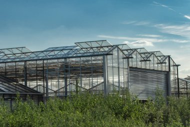 Seralarda havalandırma ile camdan