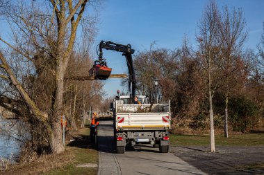 Banka bitki örtüsü kullanarak Ekskavatör