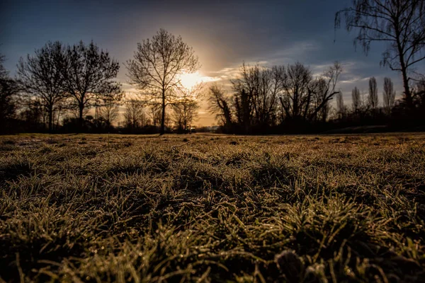 Zemin Frost Bahar Başında — Stok fotoğraf