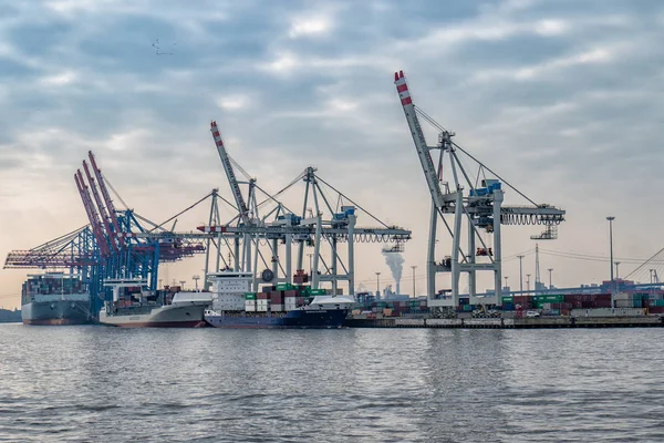 Hamburg Rıhtım ve liman