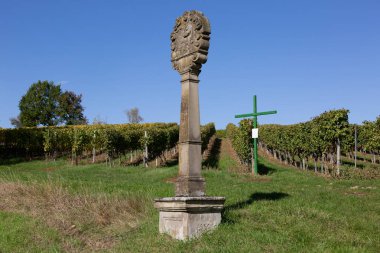 Çiftçilerin sessiz protestosu için yeşil bir haçla