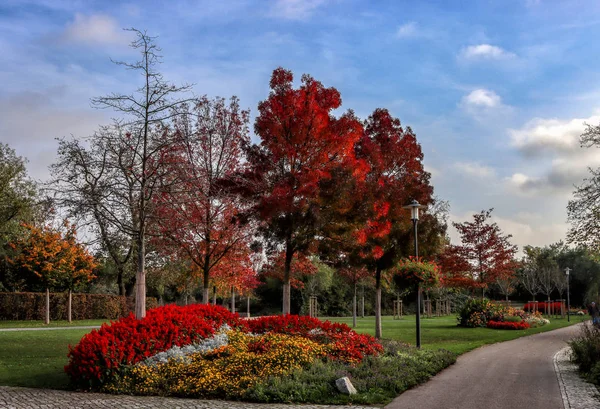 Paisagem Parque Inglês Outono — Fotografia de Stock