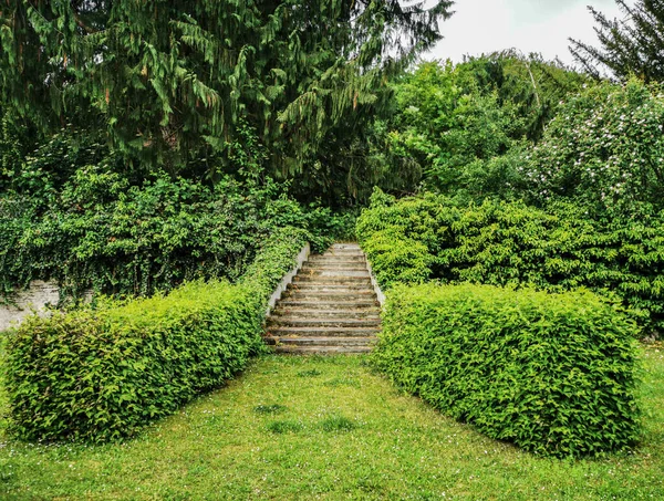 Escaleras Exteriores Enmarcadas Por Arbustos Verdes Parque —  Fotos de Stock