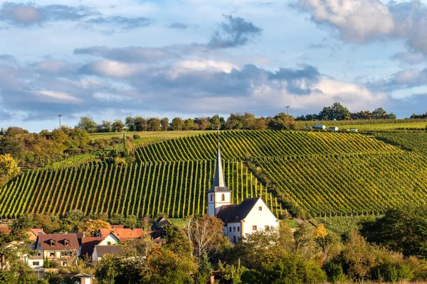 Kyrka Och Vingård Franken Bayern Bakgrunden Kan Skörden — Stockfoto