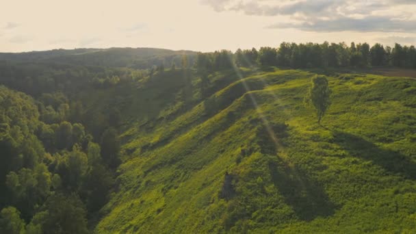 Flicka Sitter Klippavsats Ett Berg Mitt Den Sibiriska Taiga Skogen — Stockvideo