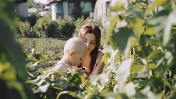 Små Barn Äter Bär Och Mammas Händer Trädgården — Stockvideo