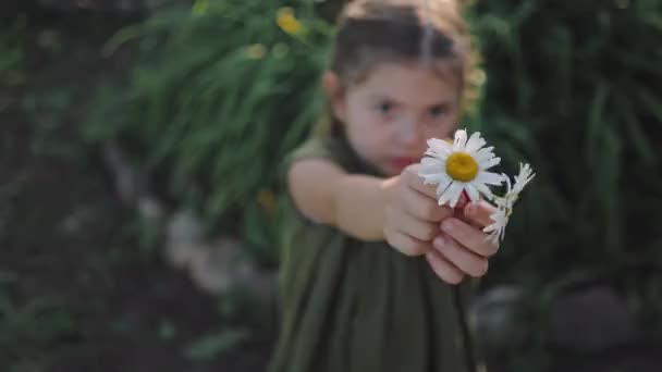 Fille Montre Fleurs Marguerite Dans Jardin — Video