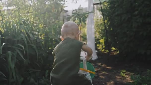 Niño Pequeño Monta Bicicleta — Vídeos de Stock