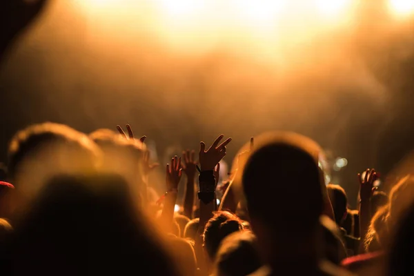 Толпа Поднимает Руки Воздух Музыкальном Фестивале — стоковое фото