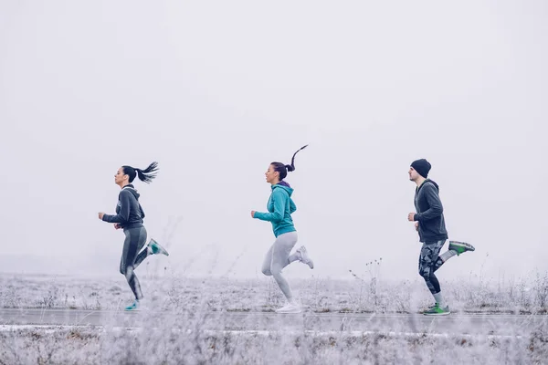 Три Спортсмена Бегут Природе Зимой Открытой Дороге — стоковое фото