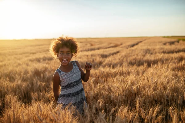 Ritratto Una Ragazza Afroamericana Che Gode Campo Grano — Foto Stock