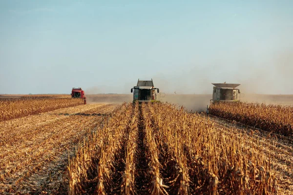 Foto Von Erntemaschinen Auf Dem Feld — Stockfoto