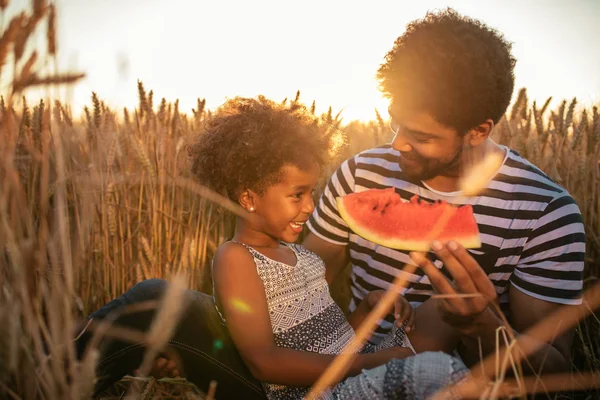 Фото Афроамериканців Батько Дочка Веселилися Їсть Кавун Пшеничному Полі — стокове фото