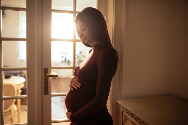 Hermosa Mujer Embarazada Disfrutando Días Embarazo Casa — Foto de Stock