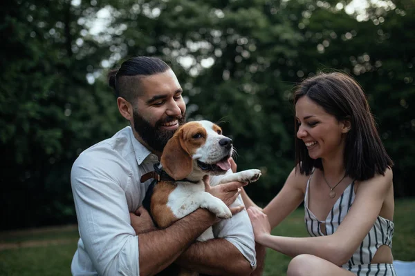 Casal Feliz Aproveitando Tempo Com Seu Cão — Fotografia de Stock