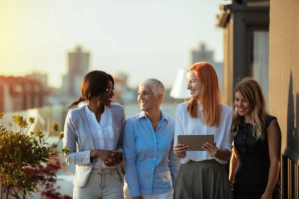 Zakelijke Vrouwen Met Een Gesprek Het Dak — Stockfoto