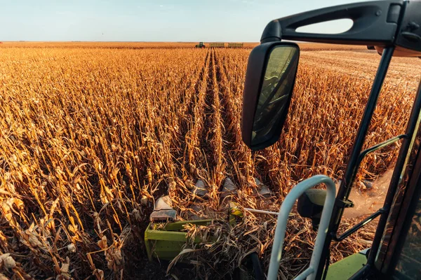 Tiro Uma Ceifeira Que Trabalha Campo — Fotografia de Stock