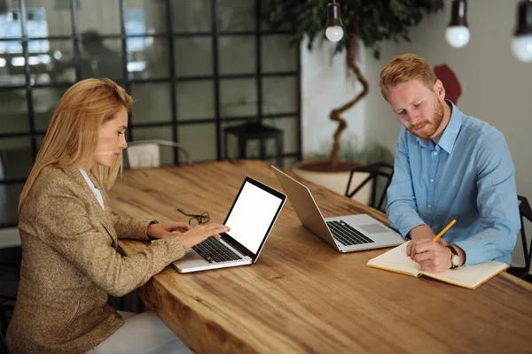 Twee Collages Werken Een Drukke Dag Hun Laptops — Stockfoto