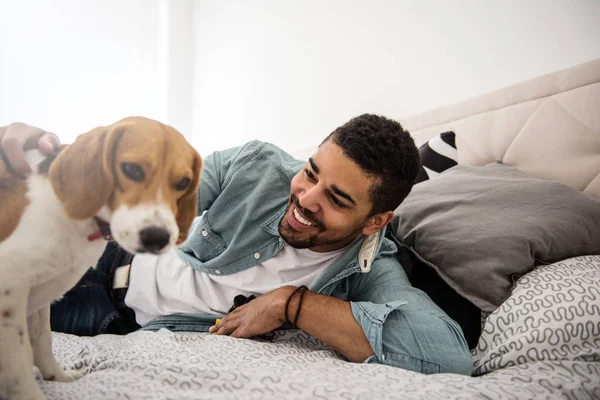 Красивий Чоловік Грає Своєю Собакою Ліжку — стокове фото