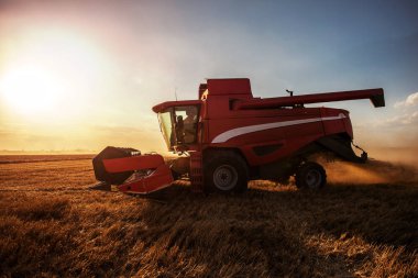 Buğday alanında bir günbatımı hasat birleştirmek.