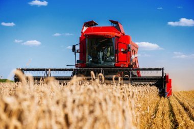 Buğday alanında bir günbatımı hasat birleştirmek.