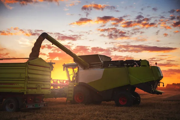 Combineer Het Gebied Van Tarwe Oogsten Een Zonsondergang — Stockfoto