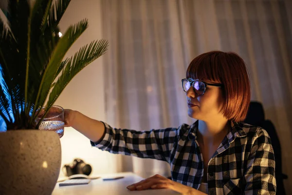 Junges Mädchen Kümmert Sich Hause Ihre Pflanze — Stockfoto