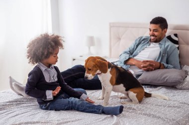 Bir köpek yatak odasında birlikte vakit bir Afro-Amerikan aile fotoğrafı.