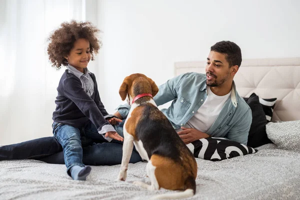 アフリカ系アメリカ人の家族が寝室に犬と共に時間を過ごす — ストック写真