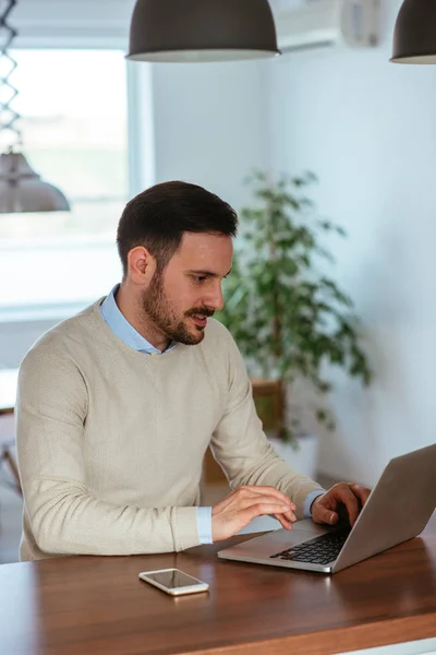 Handsome Young Businessman Working Home — Stock Photo, Image
