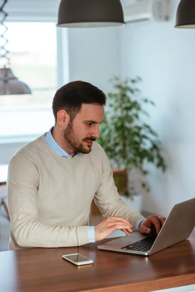 Joven Hombre Negocios Guapo Trabajando Casa Imagen De Stock