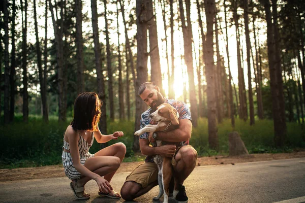 Happy Couple Playing Cute Little Dog — Stock Photo, Image