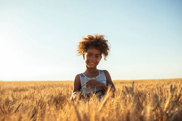 Süße Junge Afrikanisch Amerikanische Mädchen Steht Einem Weizenfeld — Stockfoto