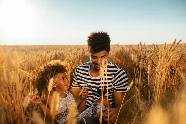 Afro Americano Pai Com Sua Filha Aproveitando Tempo Campo Trigo — Fotografia de Stock