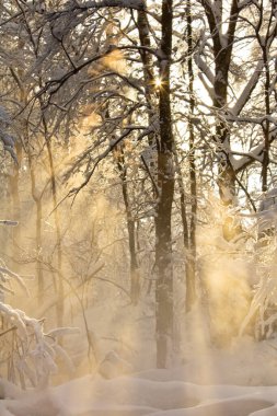 Setting sun above winter landscape  clipart