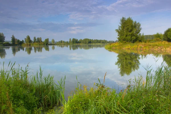 Зимовий Пейзаж Цегляною Стіною — стокове фото