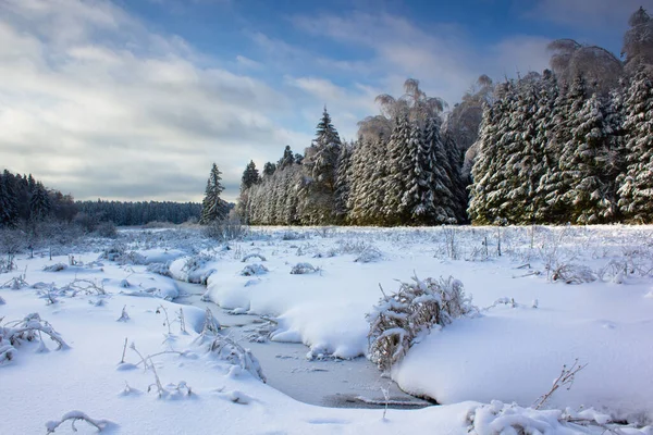 雪に覆われた木々の冬の風景 — ストック写真