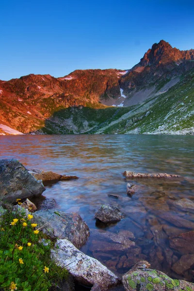 Scenic View River Highland — Stock Photo, Image